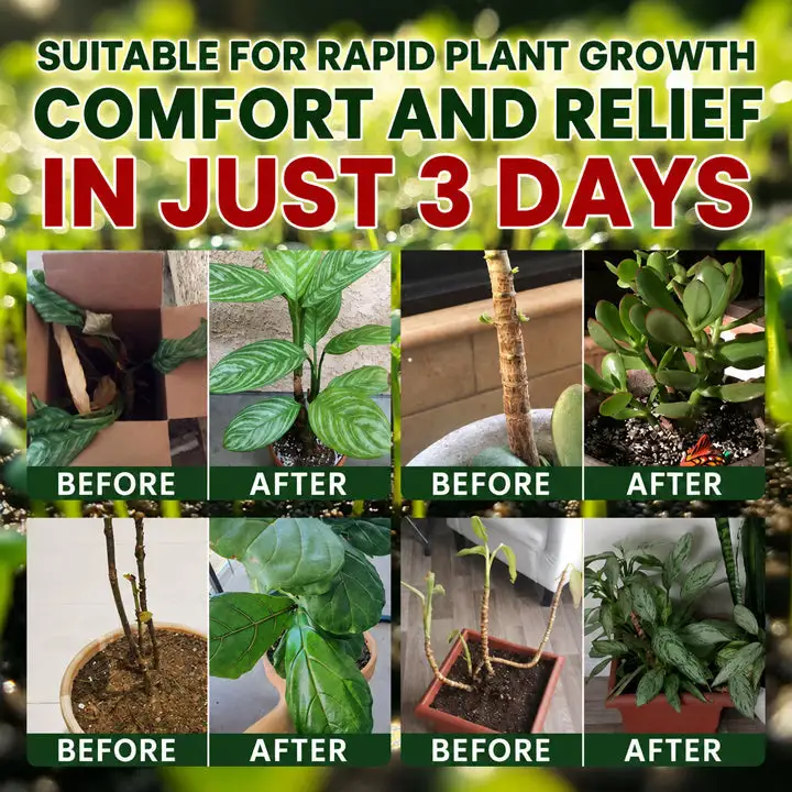 Universal Plant Nutrient Solution - Image 5
