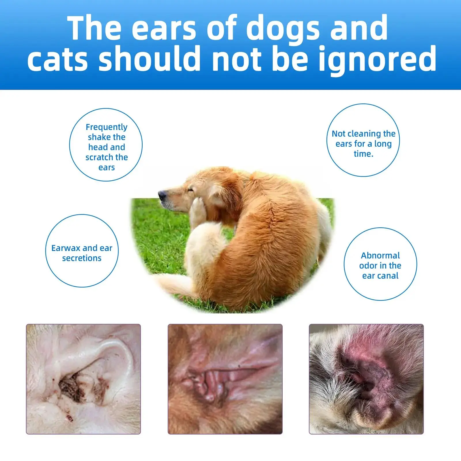 Gentle Pet Ear Wash - Image 3