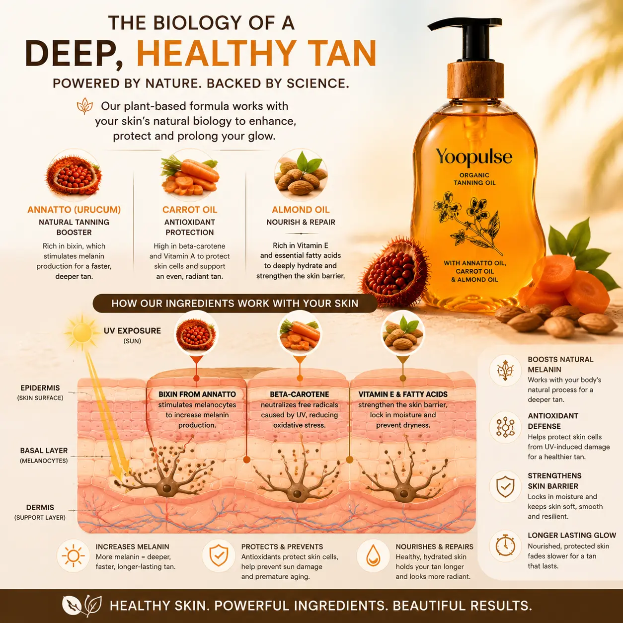 Yoopulse Organic Brazilian Tanning Oil 🌞 - Image 3