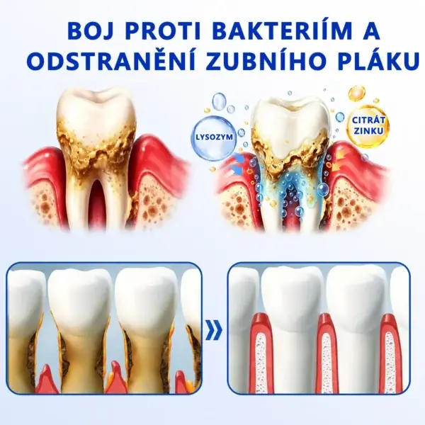 Evolvion® - Image 6